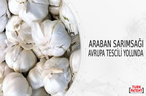 ARABAN SARIMSAĞI AVRUPA TESCİLİ YOLUNDA