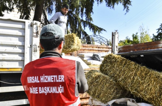 BAKAP mahsülleri başkentli çiftçilerin yüzünü güldürüyor