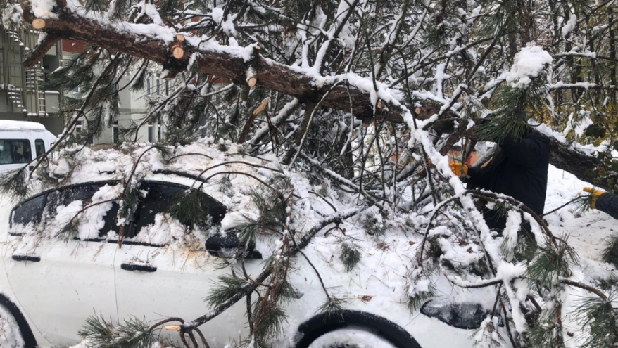 Bolu’da kar yağışı sonrası bir aracın üzerine ağaç devrildi