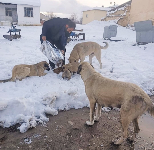 Elazığ’da sokak hayvanları unutulmadı; mama dağıtımı gerçekleştirildi