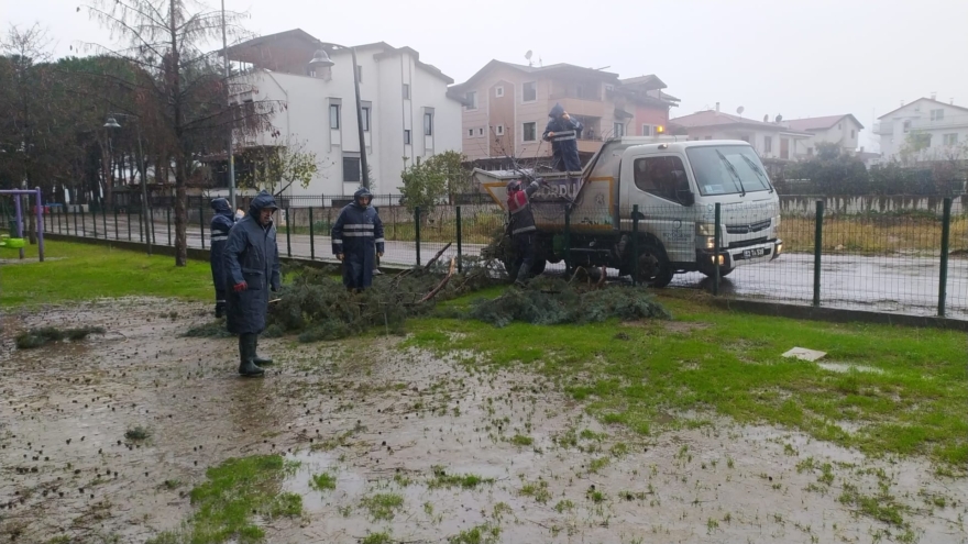 Büyükşehir’in fırtına mesaisi; 50 olaya müdahale edildi