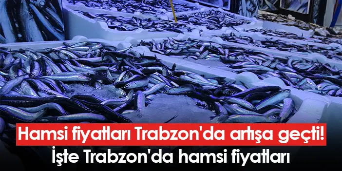 Hamsi fiyatları Trabzon’da artışa geçti! İşte Trabzon’da hamsi fiyatları