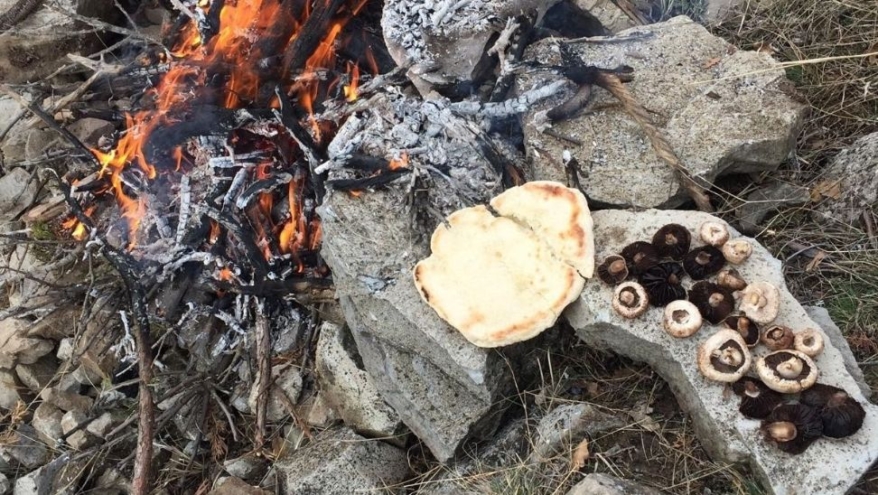 Mantarlar bomba gibi patladı