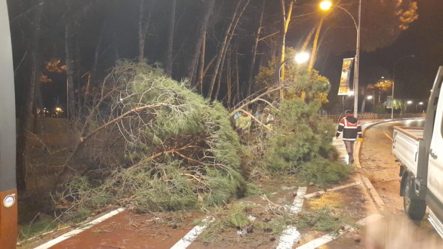 Ordu’da şiddetli fırtına etkili oldu