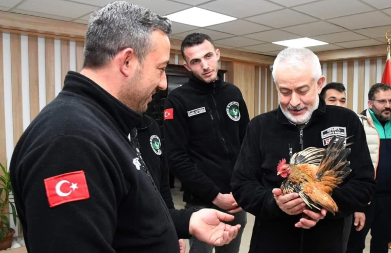 1500’ün üzerinde süs tavuğu sergilenecek