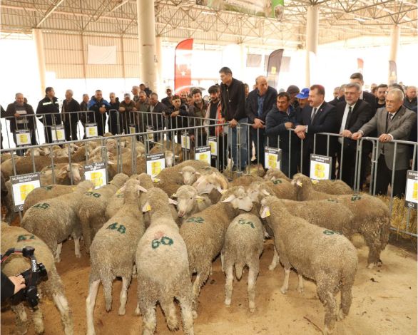 Balıkesir’de Yetiştiricilere Destek