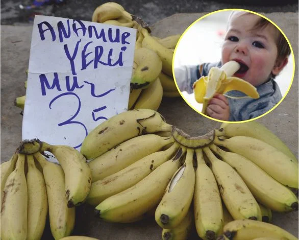 Balıkesir’li Antalya Ve Mersin Muzlarını Tüketiyor