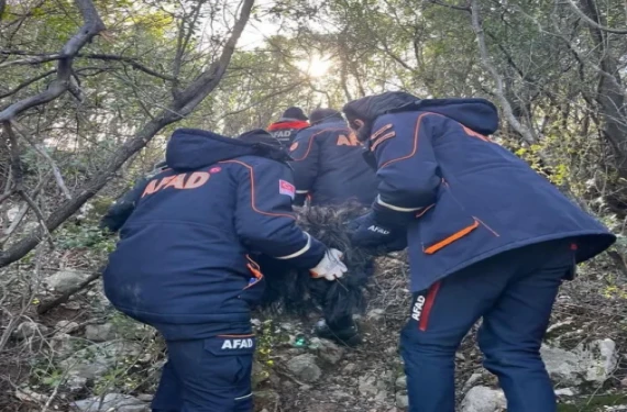 Burdur AFAD ekipleri mahsur kalan keçiyi kurtardı