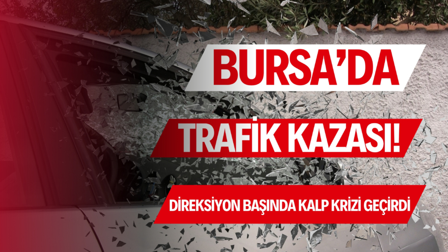 Bursa’da kalp krizi geçiren sürücü ağaca çarptı