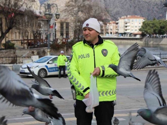 Trafik Polisi Güvercinleri Yemledi