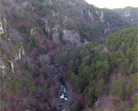 Balıkesir Dursunbey Ormanları’nın Büyüsü