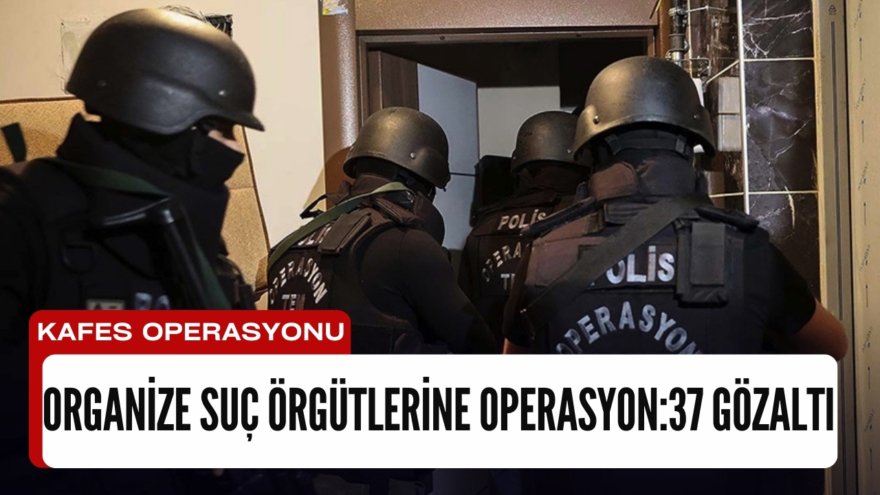 Organize suç örgütlerine “Kafes” operasyonu: 37 gözaltı