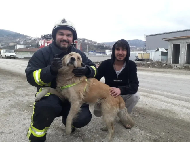 Yer Tokat…Yangından kurtarılan köpek minnetini böyle gösterdi