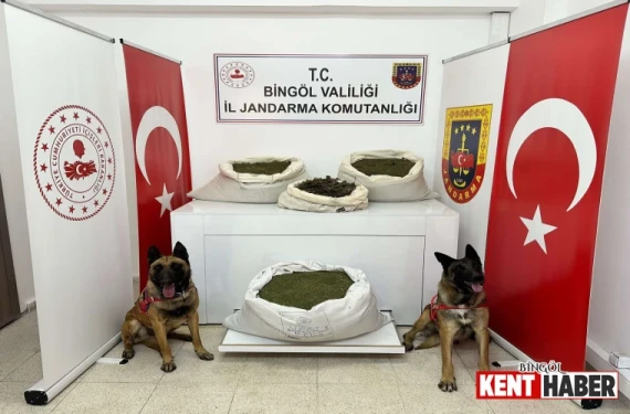 Bingöl’de 57,5 kilogram esrar ele geçirildi