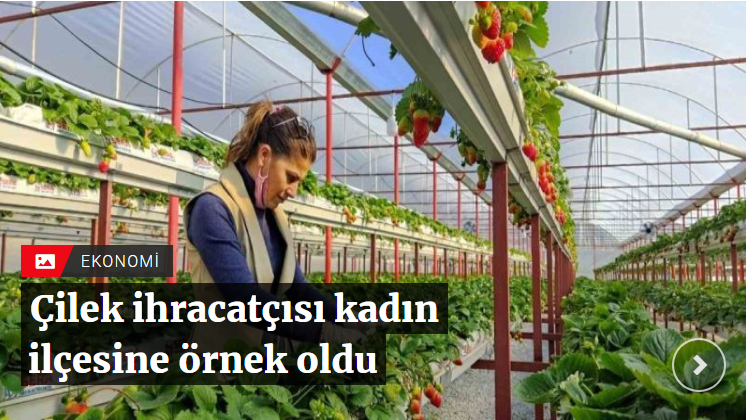 Çilek ihracatçısı kadın ilçesine örnek oldu