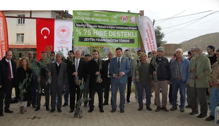 Sütçüler’de 7 bin adet zeytin fidanı dağıtıldı