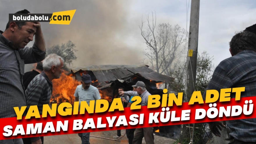 2 bin adet saman balyası alev alev yandı