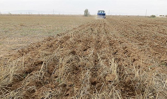 Ardahan’da tarım ve hayvancılık sezonu başladı