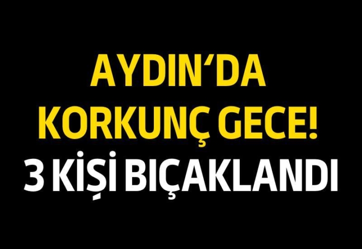 Aydın’da 3 kişi bıçaklandı