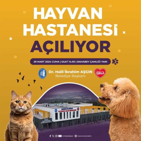 Çorum Belediyesi, Bölgenin En Modern Hayvan Hastanesini Açıyor!