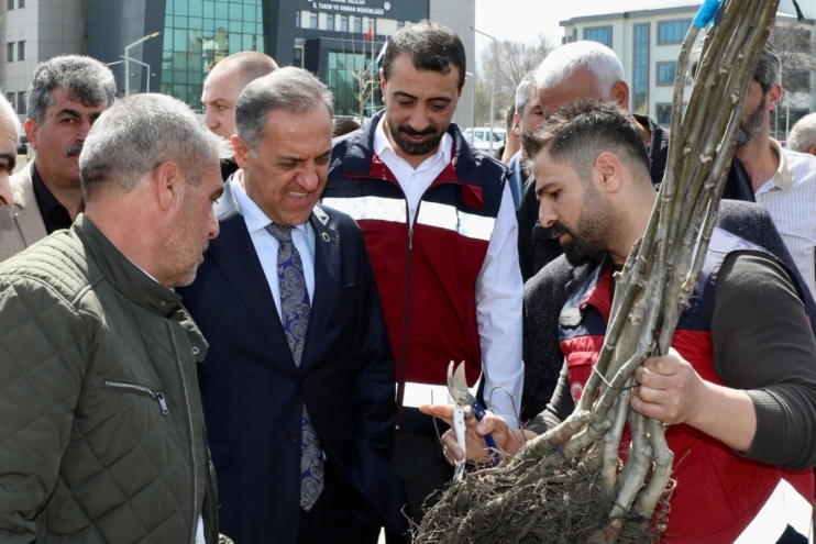 Vali Usta: Çiftçilerimizin gelirini artırmayı hedefliyoruz