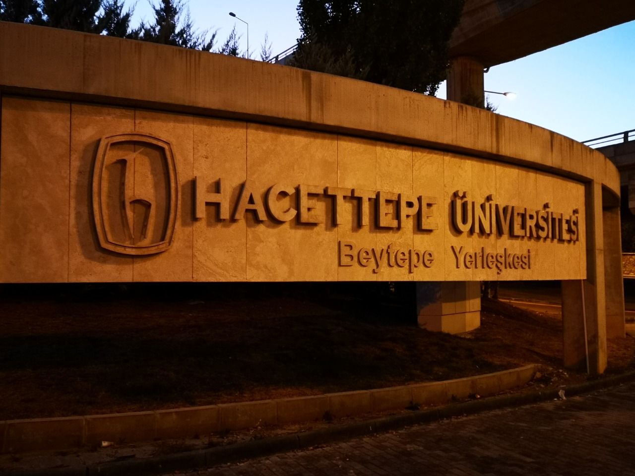 Hacettepe Üniversitesi'nden Ayşegül Tayyar'ın Ardından Açıklama Geldi"